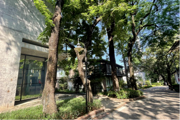 新仕誠(chéng)公司順應(yīng)綠色發(fā)展潮流，堅(jiān)定不移推進(jìn)園區(qū)生態(tài)文明建設(shè)